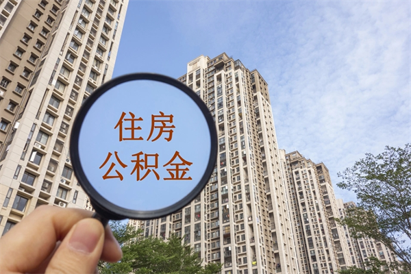 禹城离职多久可以取住房公积金(离职多久后能取公积金) 禹城离职多久可以取住房公积金(离职多久后能取公积金)